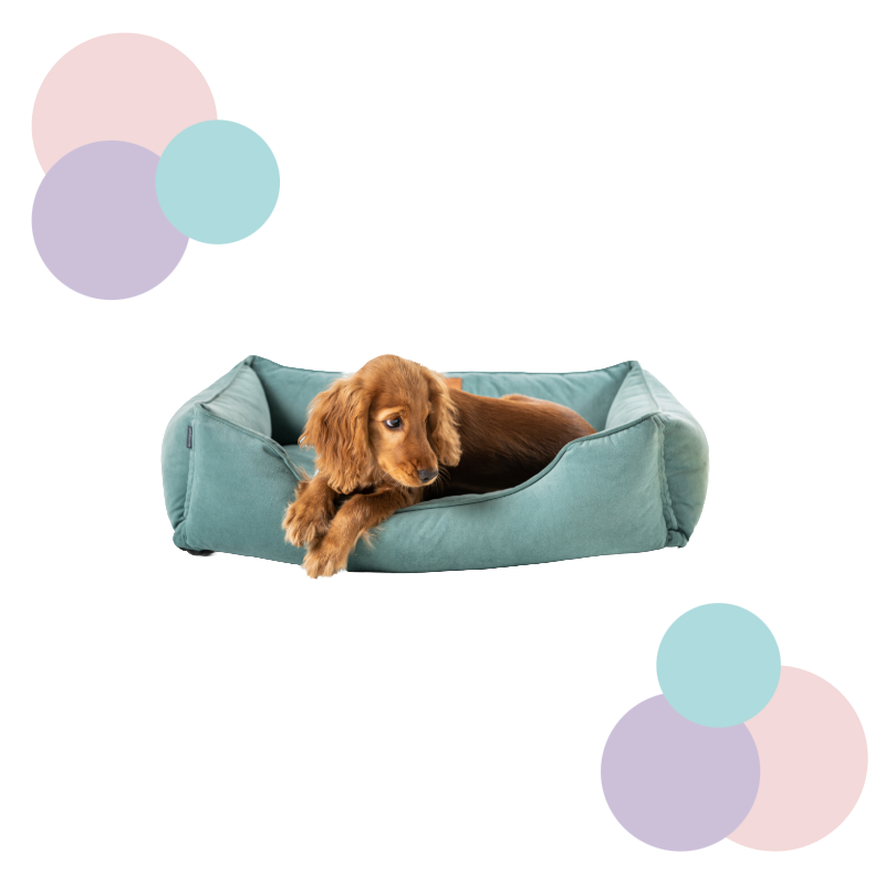 Schlafplätze / Decken