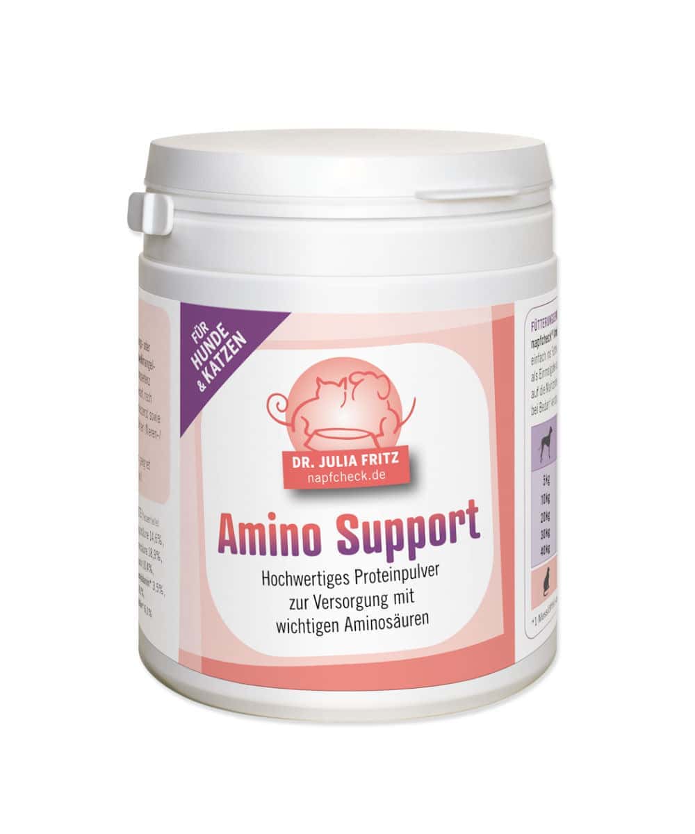 Amino Support