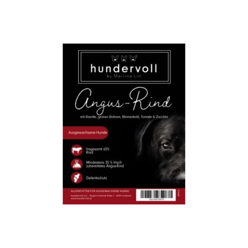 Angus Rind mit Karotte