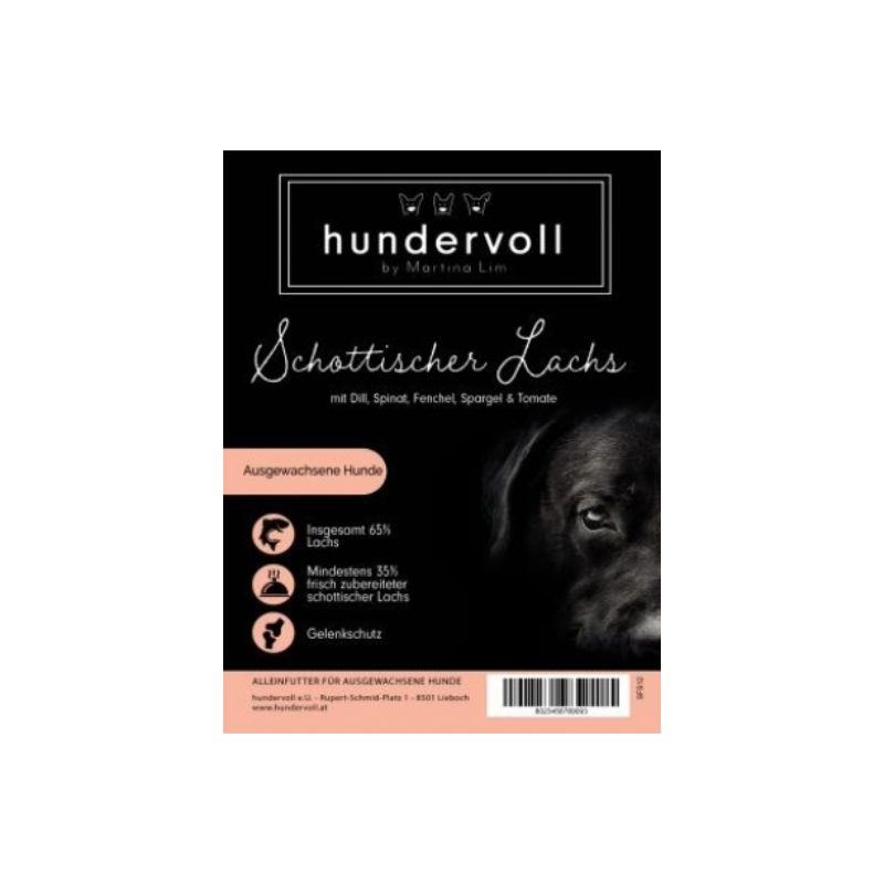 Schottischer Lachs mit Dill