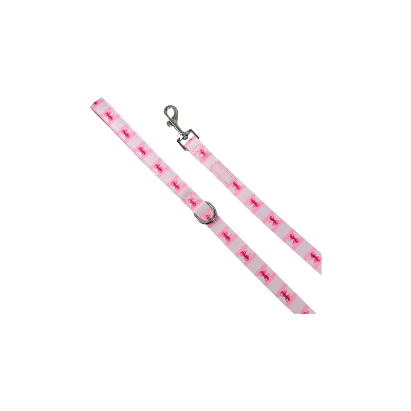 Barktoria's Secret leash