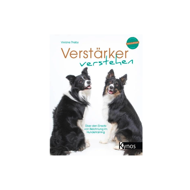 Verstärker verstehen