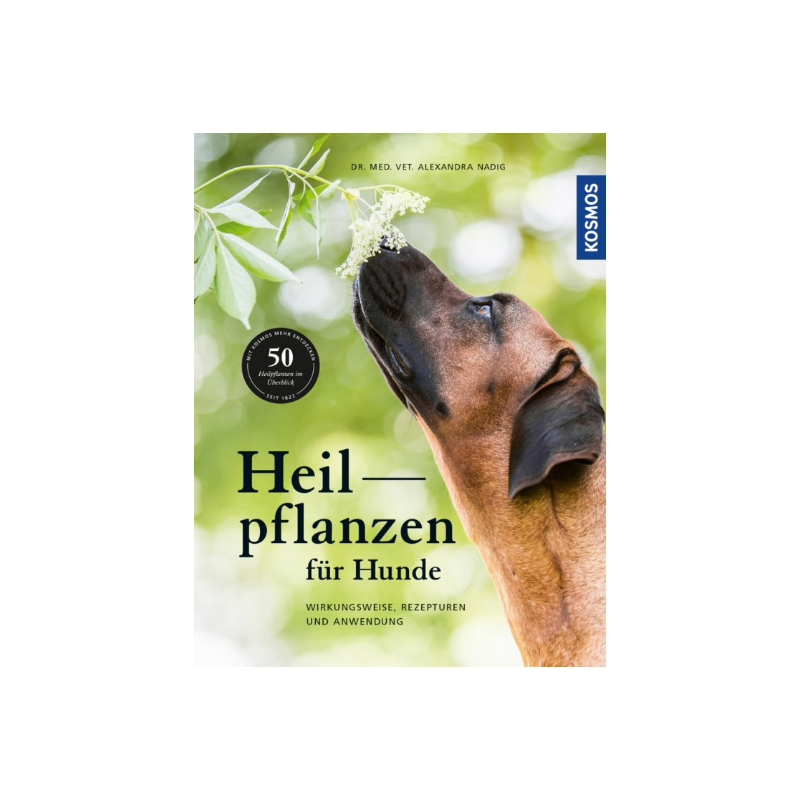 Heilpflanzen für Hunde