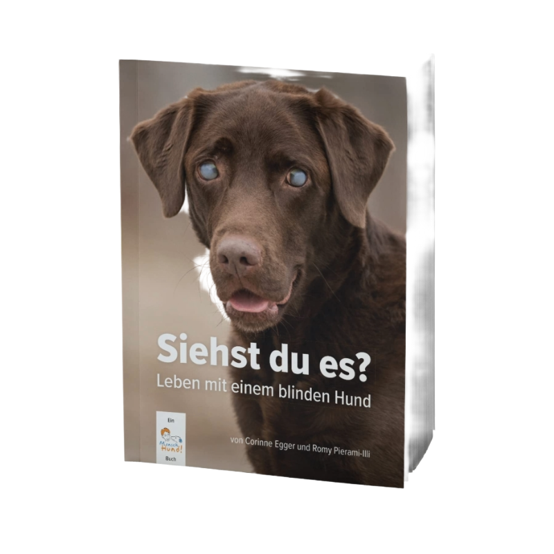 Siehst du es?