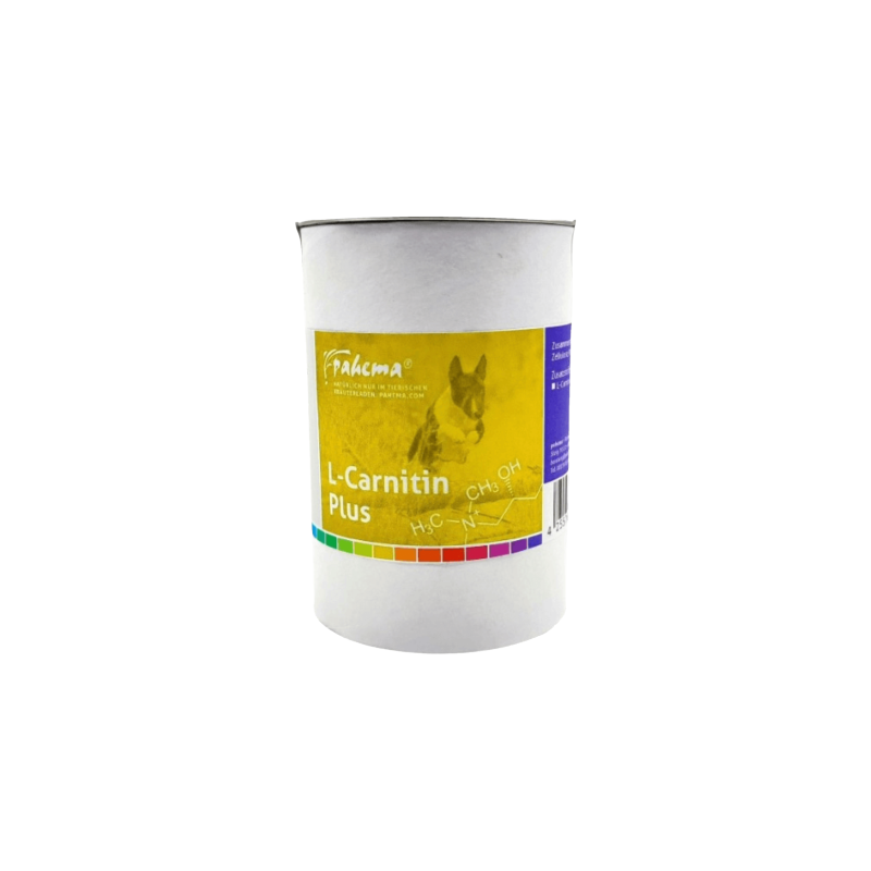 L-Carnitin Plus MHD 12/25