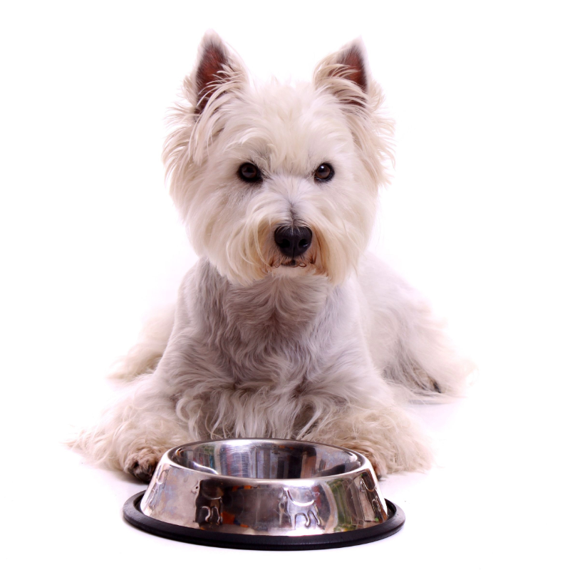 Allergies/Intolerances (Package) 