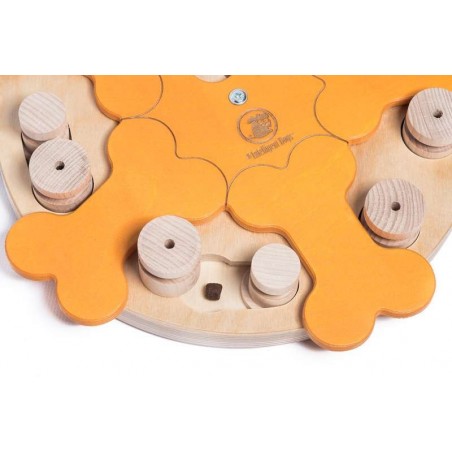 My Intelligent Dog - Carousel of Bones